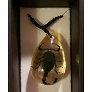 Vintage Real Black Scorpion Lucite Pendant Jewelry Necklace Arizona Real Nature